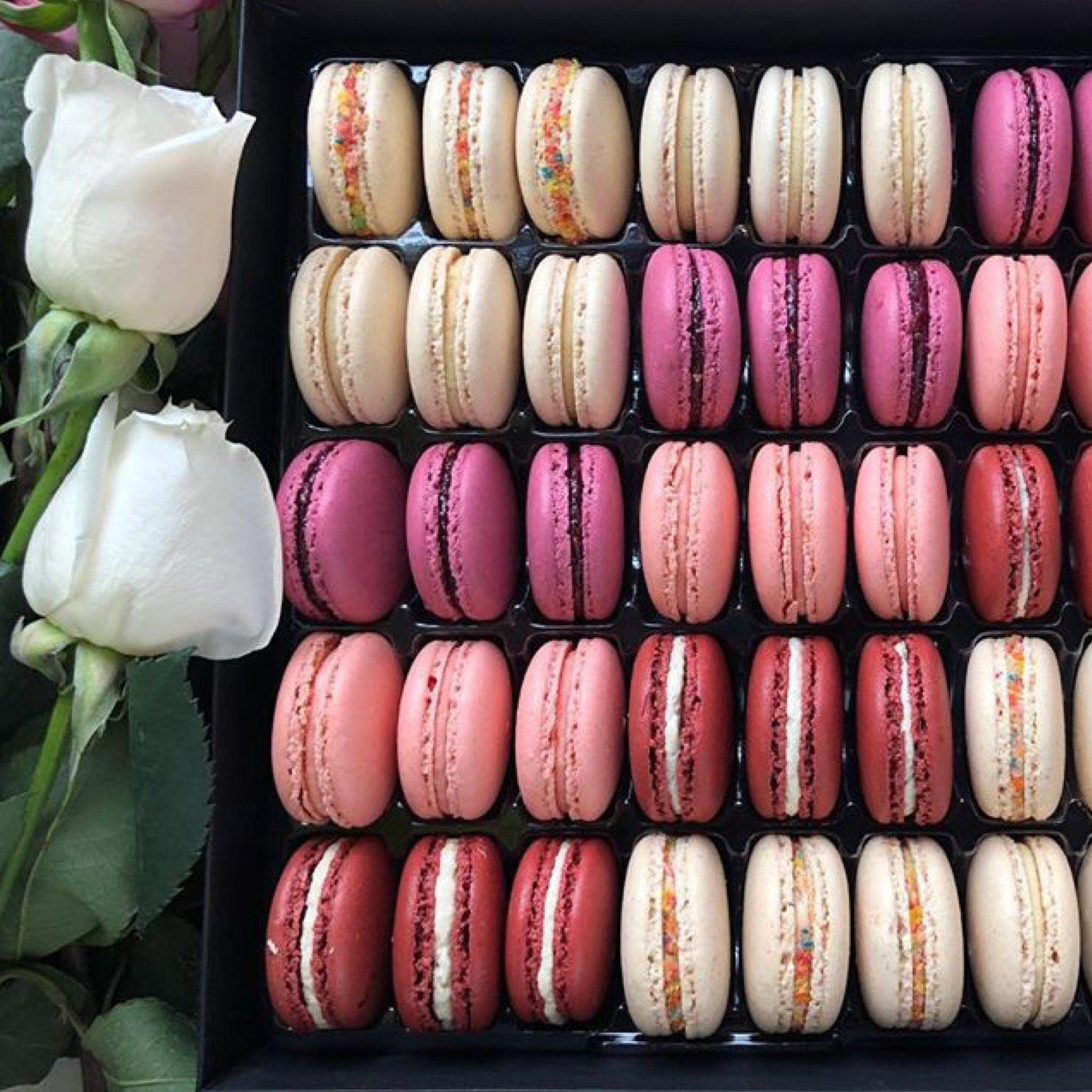 Send Macarons to Rescue Your Girls! - Olivia Macaron