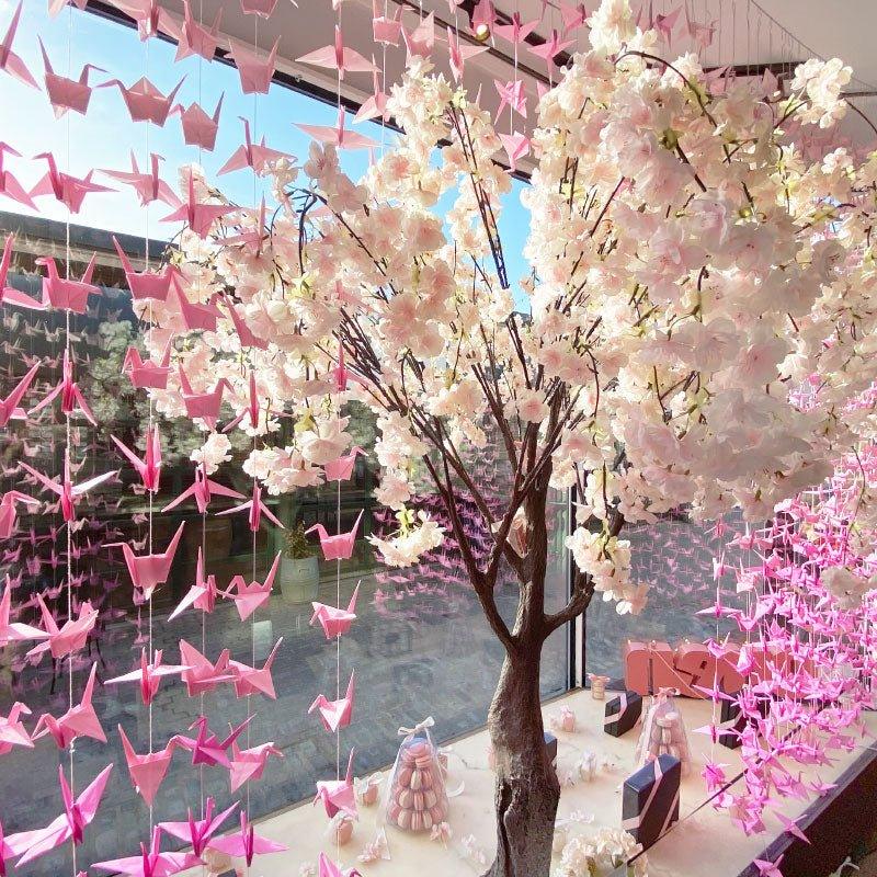2021 National Cherry Blossom Festival - Olivia Macaron
