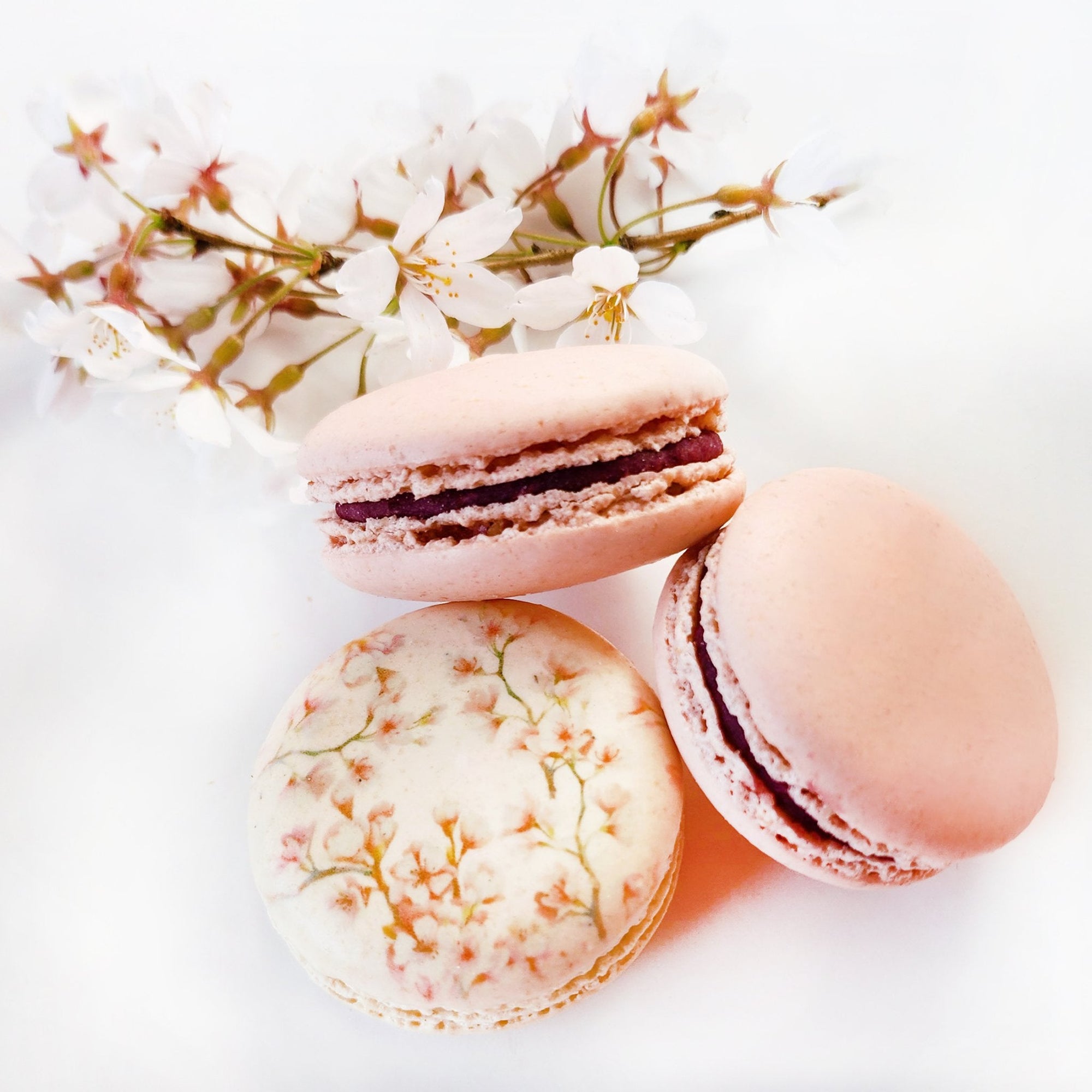 Celebrate Cherry Blossom Season with Olivia Macaron - Olivia Macaron