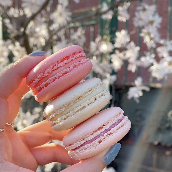 Celebrate Cherry Blossom Season With Olivia Macaron - Olivia Macaron