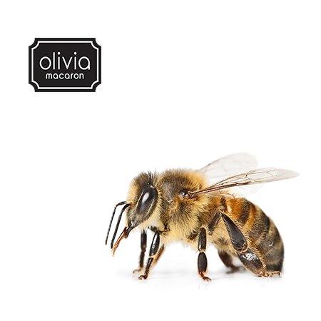 Olivia Macaron Saving Bees One Macaron at a Time - Olivia Macaron