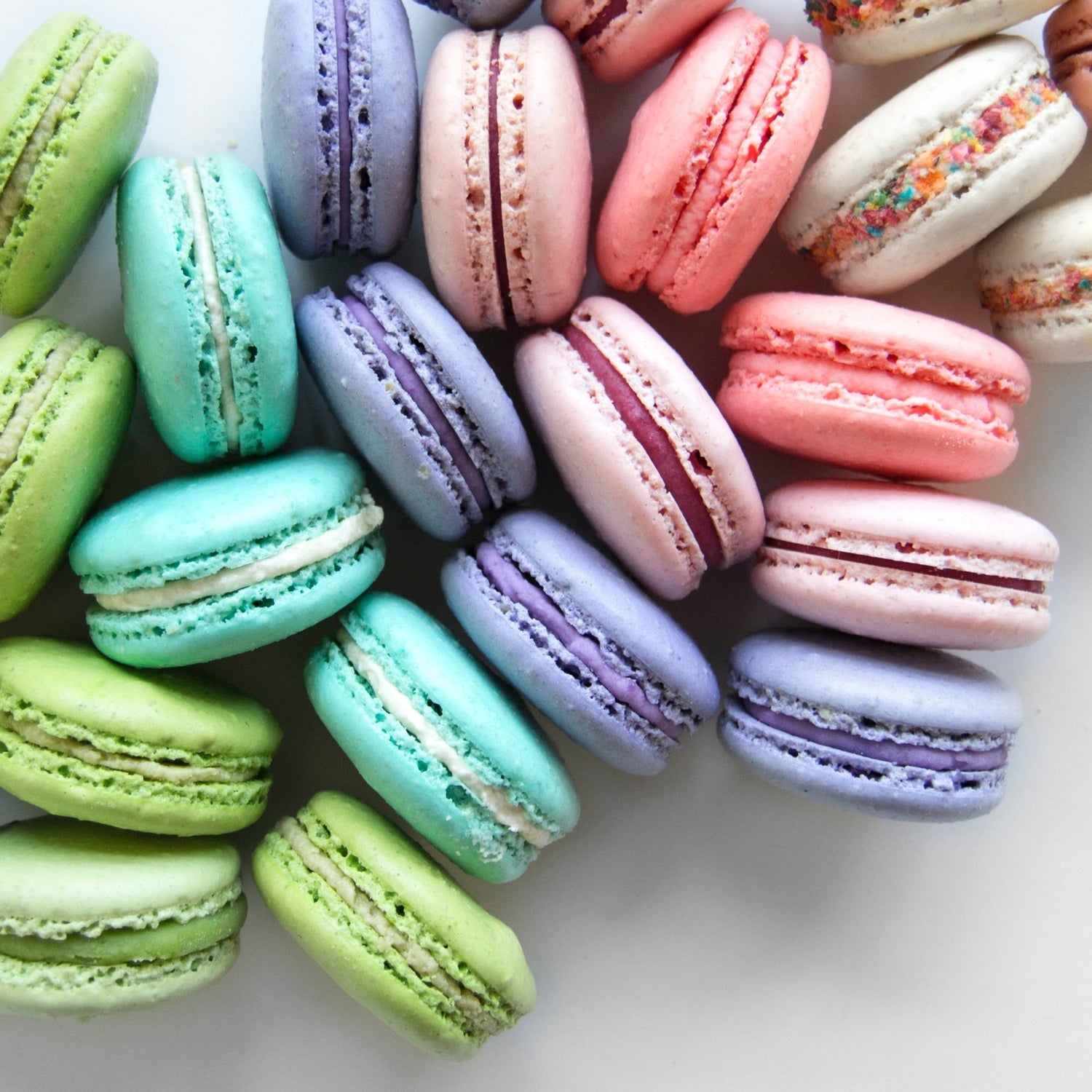 Sharing Our Passion for Macarons - Olivia Macaron