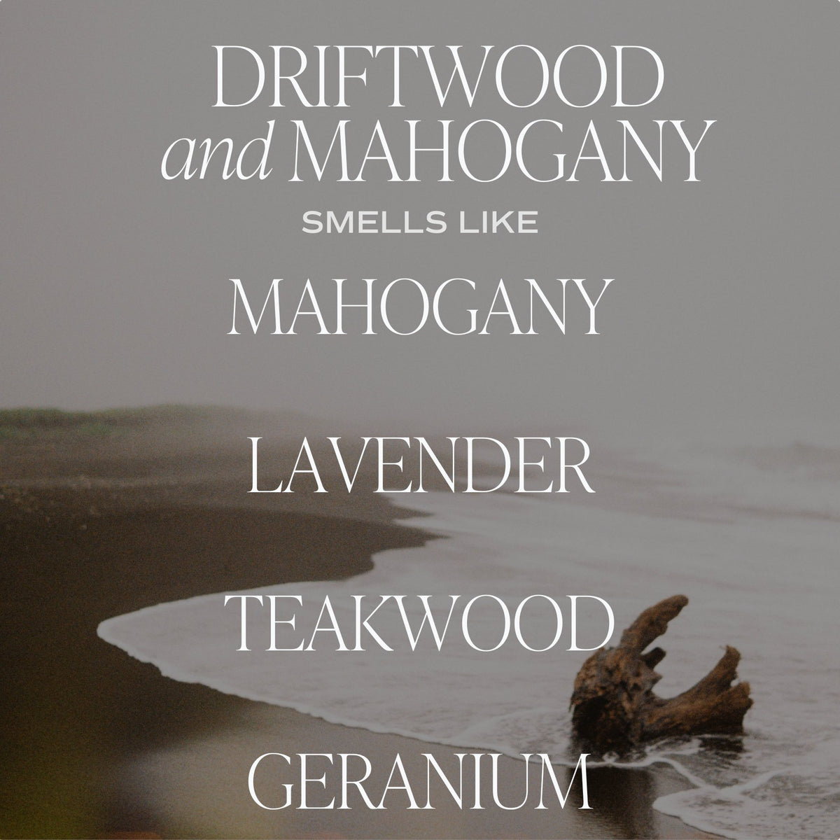Driftwood and Mahogany 11 oz Soy Candle - Olivia Macaron