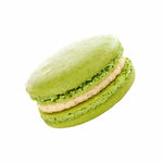 Pistachio - Olivia Macaron