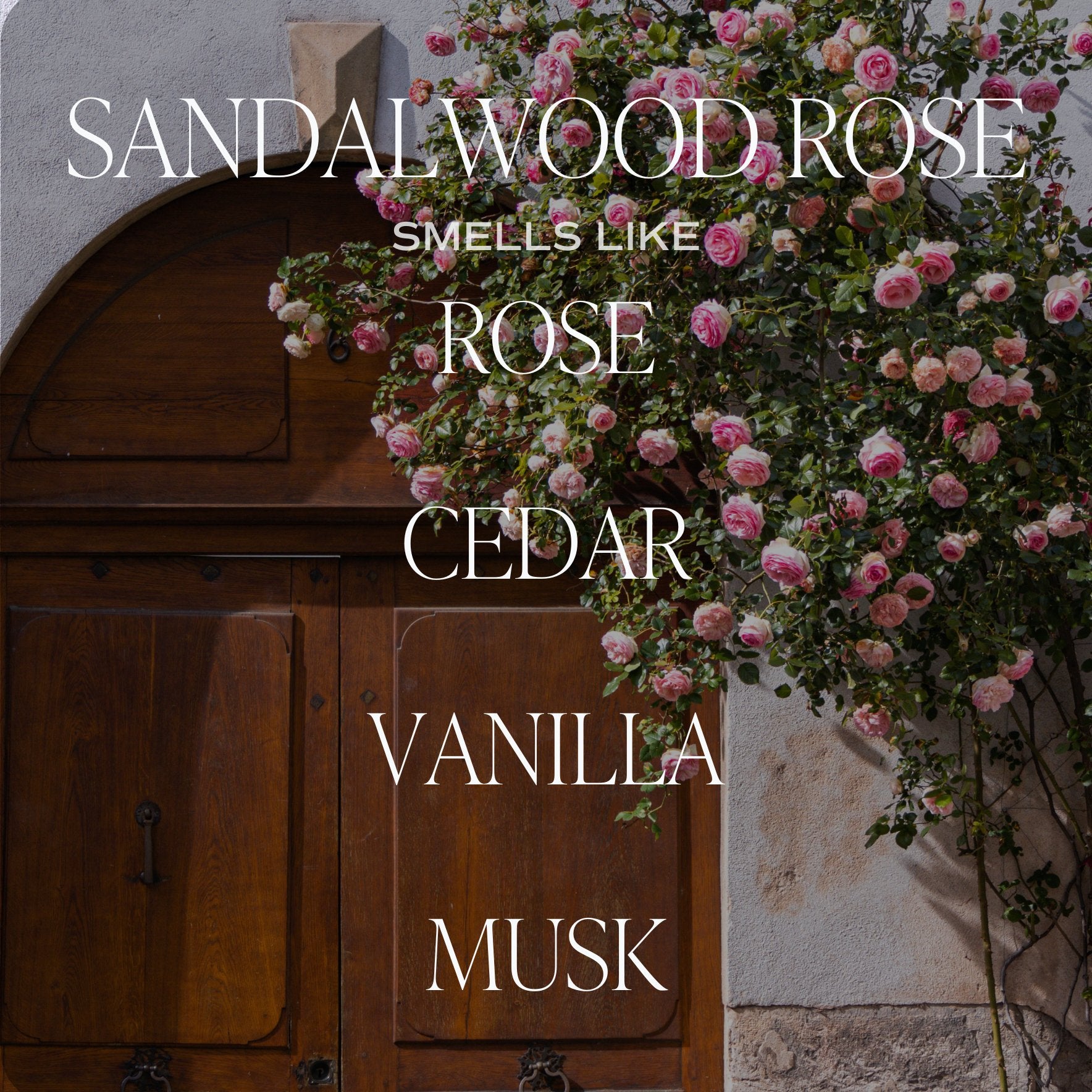 Sandalwood Rose 9 oz Soy Candle - Home Decor & Gifts - Olivia Macaron
